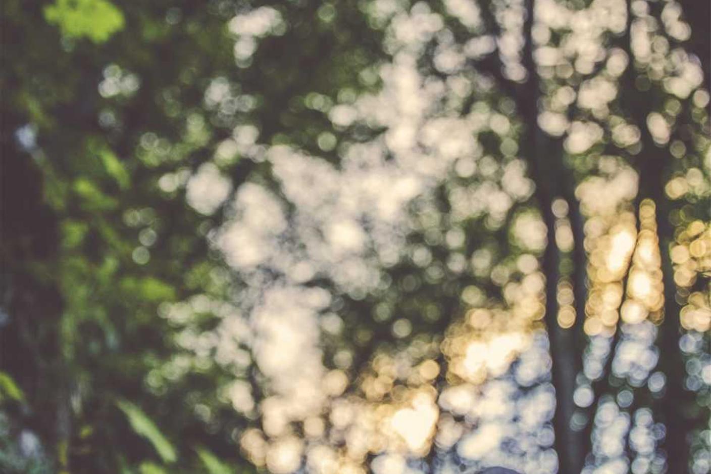 Sunt deserunt accusantium veniam